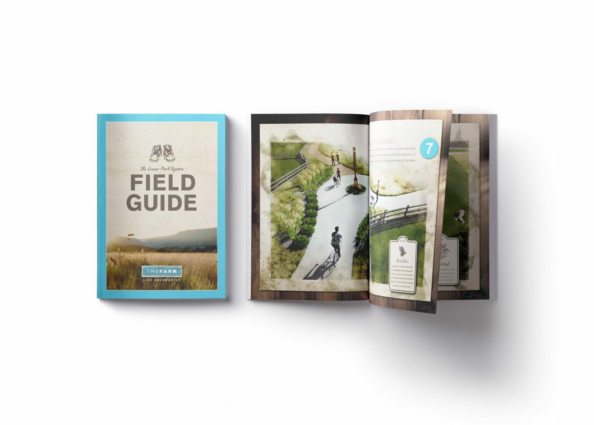 The Farm Field Guide Brochure